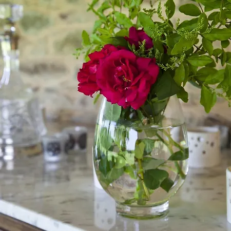 Pazo De Verdes * Cospeito