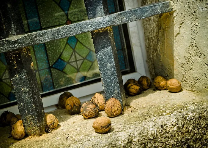 Gospodarstwo wiejskie Pazo De Verdes *