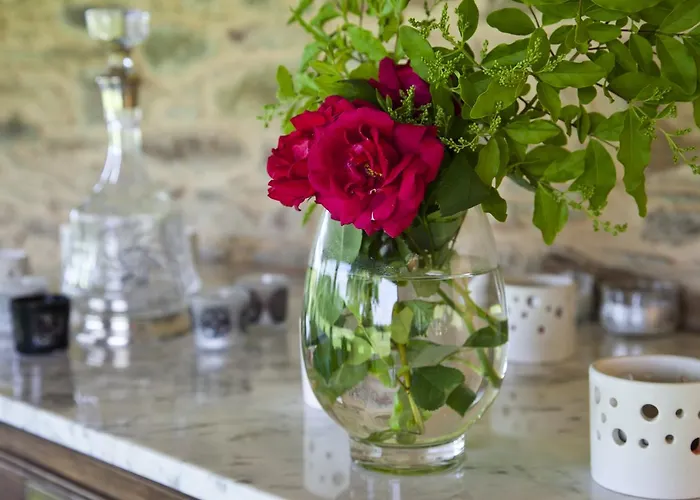 Pazo De Verdes * Cospeito